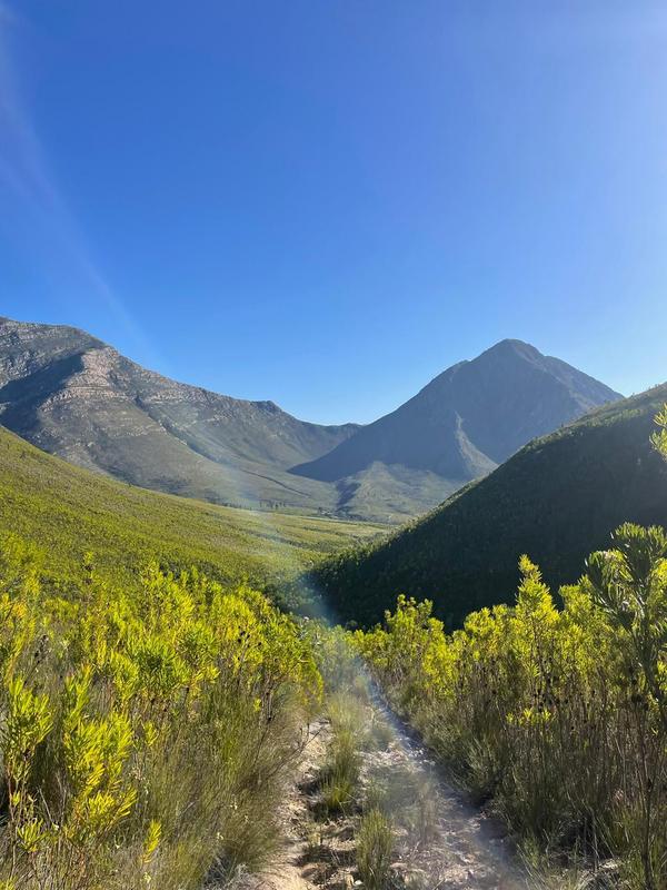 0 Bedroom Property for Sale in Tsitsikamma Eastern Cape